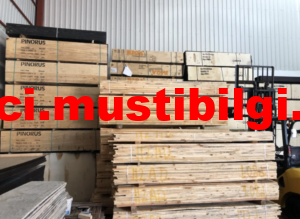 BOL MİKTARDA ÇIKMA İNŞAAT KERESTESİ UCUZ FİYAT 200 TL 3 Çıkma lambiri, kereste bayrak direği,çit kazığı burada ve ucuz